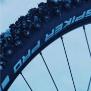 Gomme